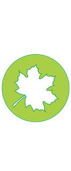 Maple Leaf Icon Green Background
