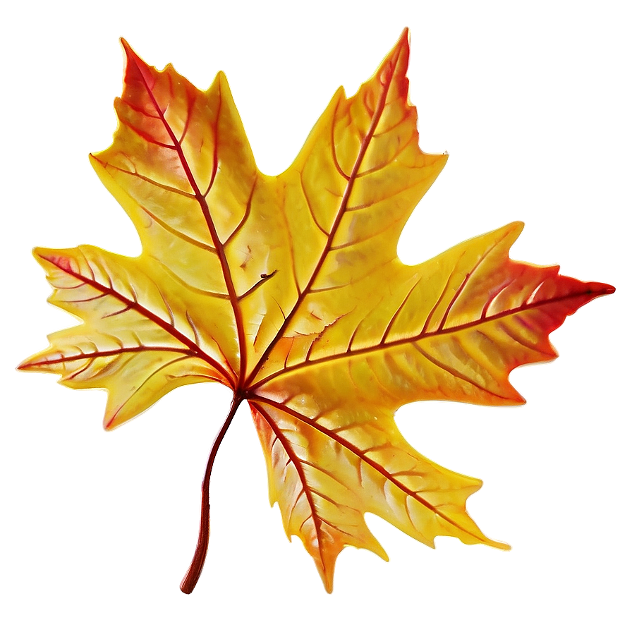 Maple Leaf In Fall Png Wpa67