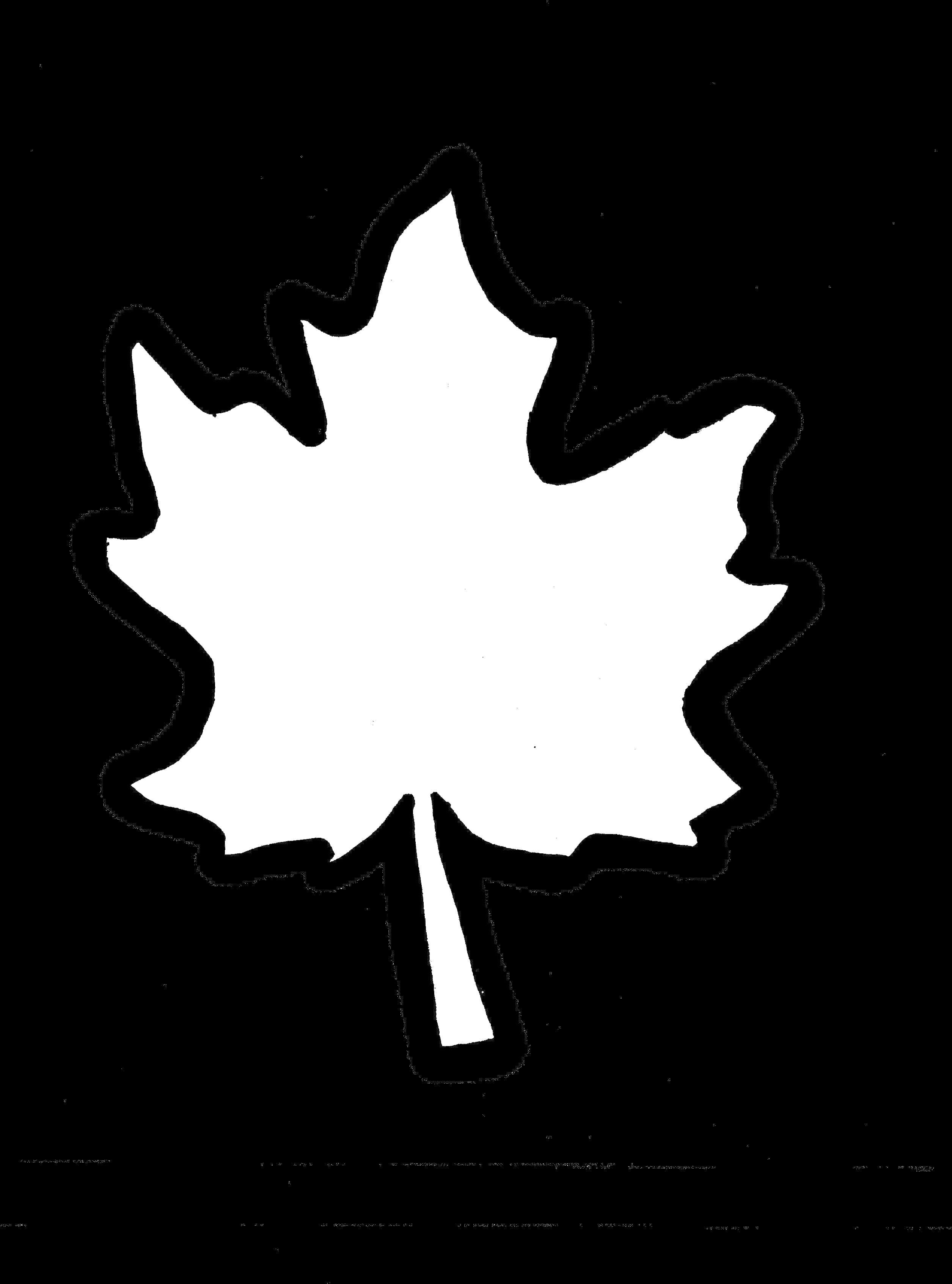 Maple Leaf Outline Clipart