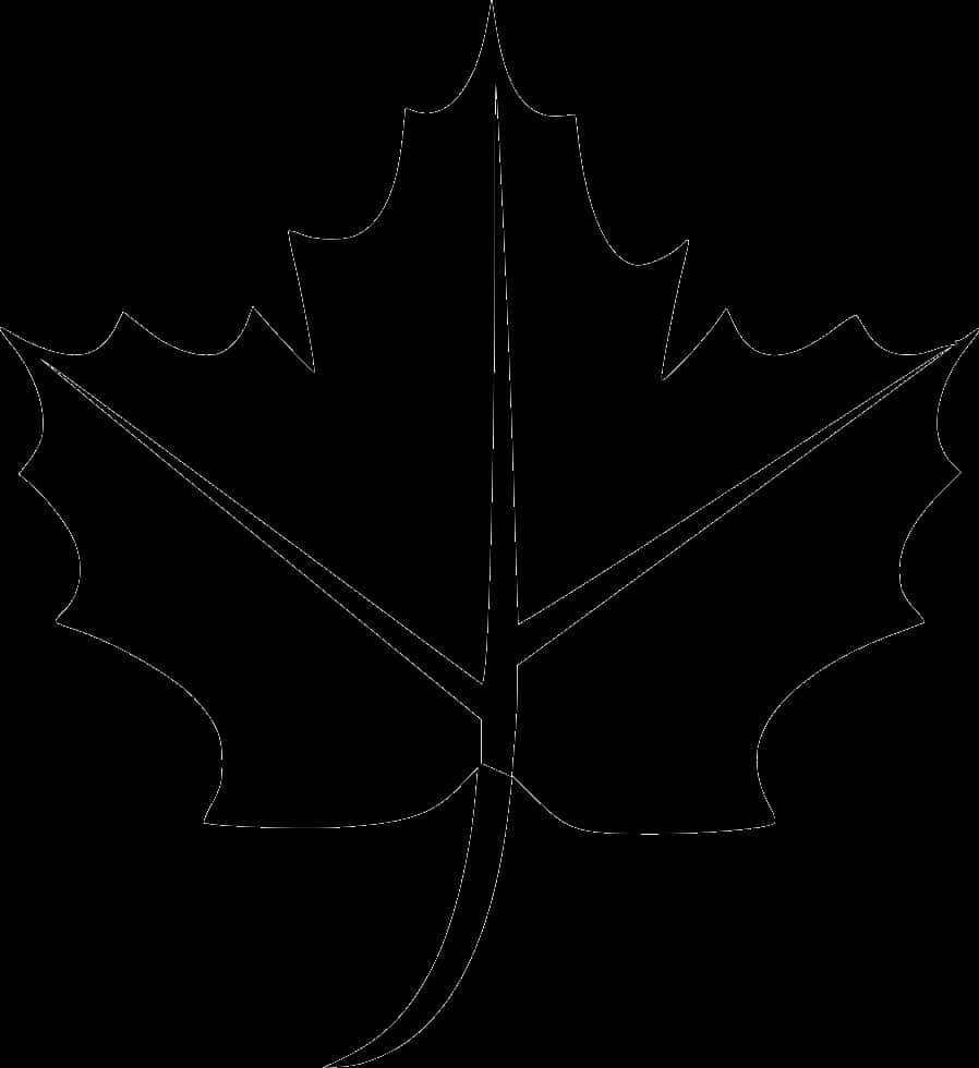 Maple Leaf Outline Graphic