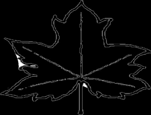 Maple_ Leaf_ Outline_ Silhouette