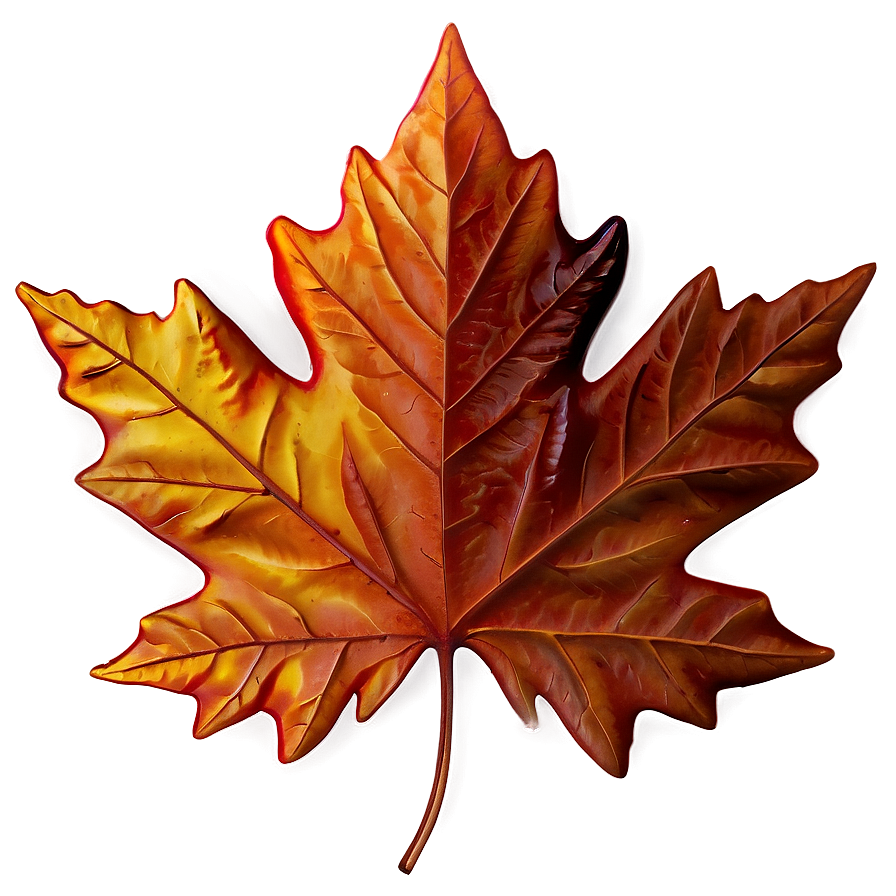 Maple Leaf Png Jbd