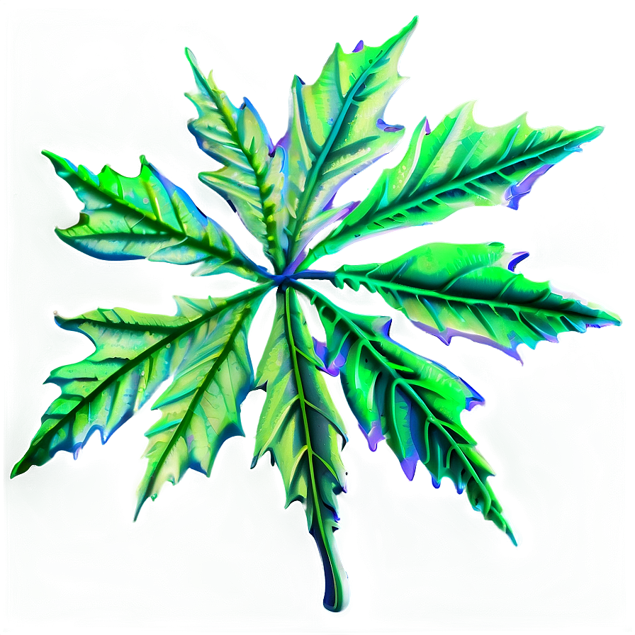 Maple Leaves Png 90