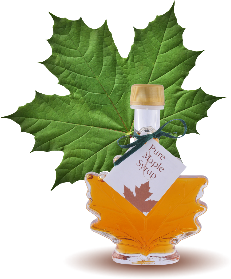 Maple Syrup Bottle Green Leaf