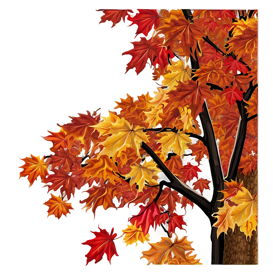 Maple Tree Autumn Splendor Png 26