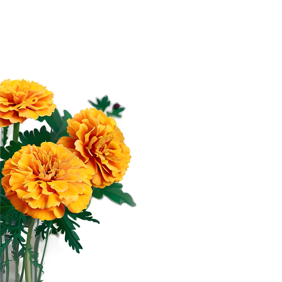 Marigold Sunshine Bouquet Png 10