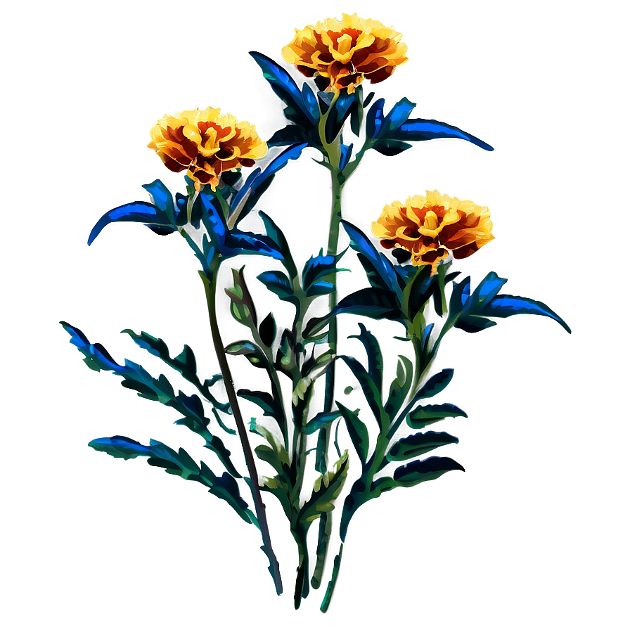 Marigolds Floral Pattern Png Vcr