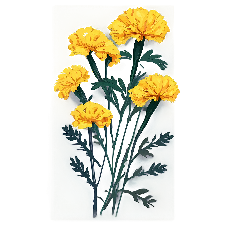 Marigolds Greeting Card Png Peu