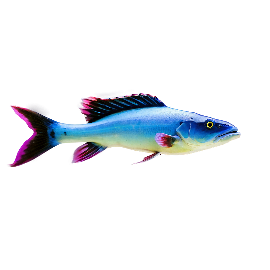 Marine Life Fish Png Dlf35