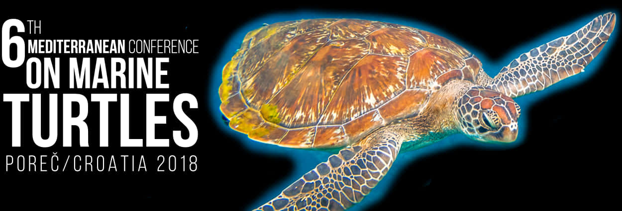 Marine Turtle Conference Banner2018