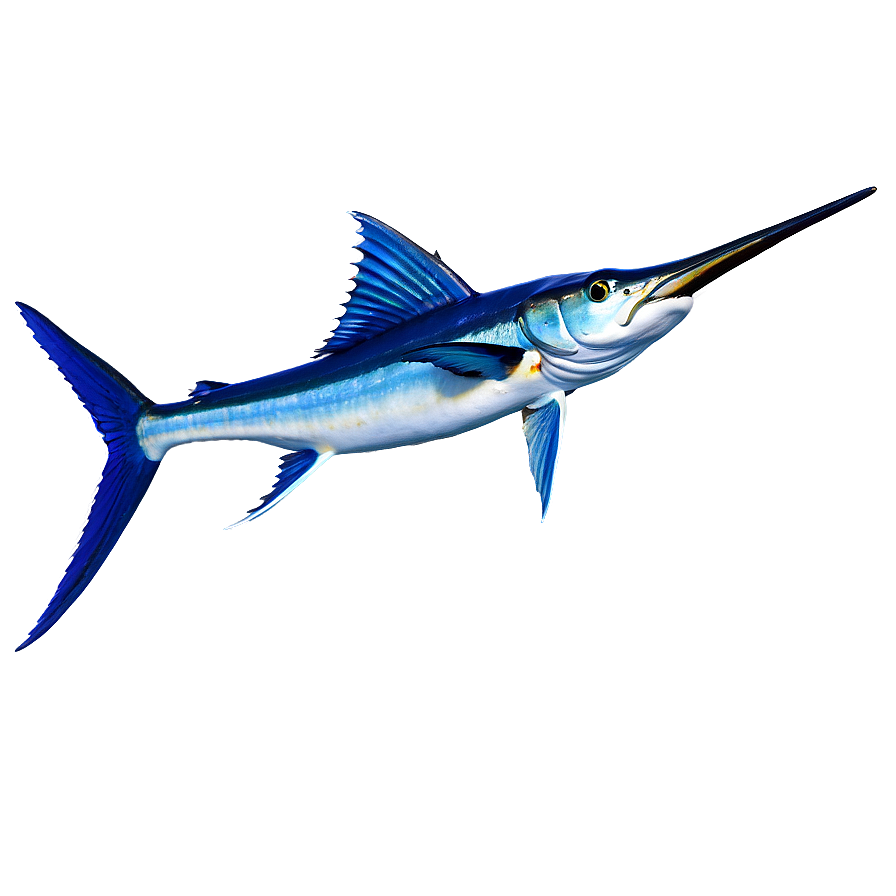 Marlin A