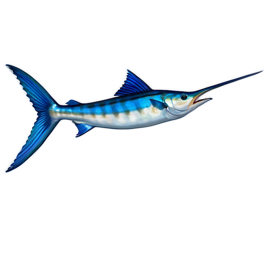 Marlin Fish Tail Png 56