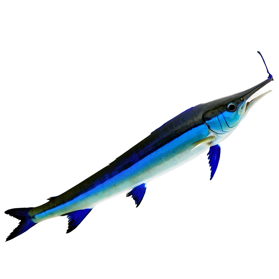 Marlin Silhouette Png 06242024