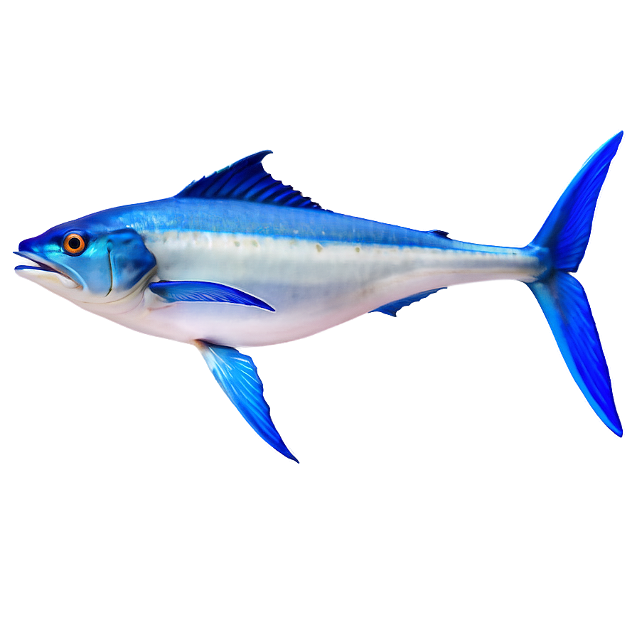 Marlin Underwater Png 06242024