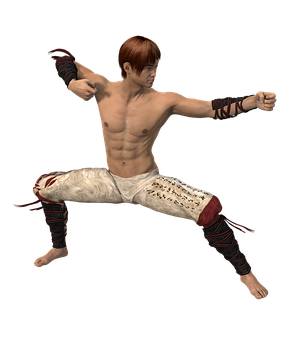 Martial_ Artist_ Fighting_ Stance