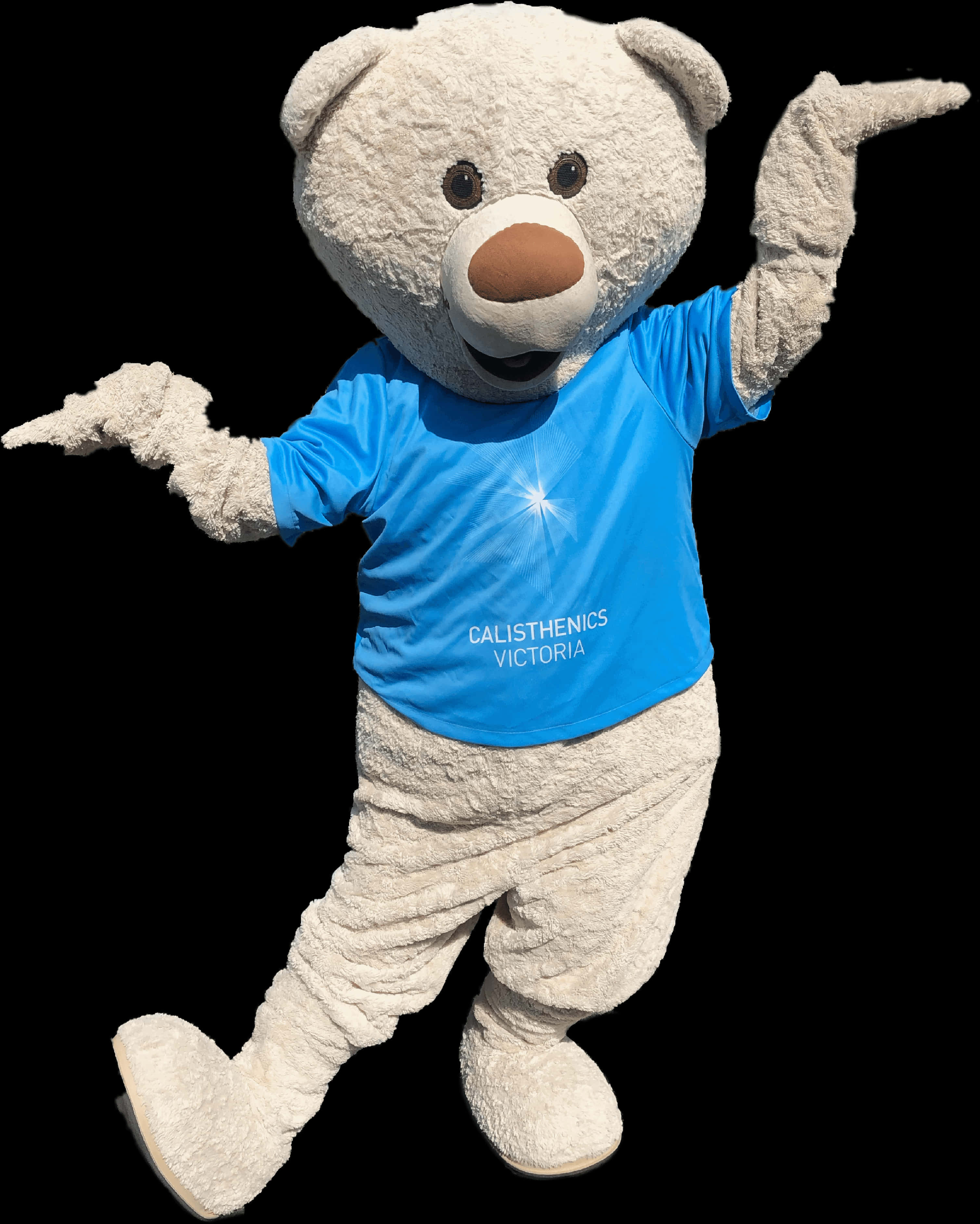 Mascot Teddy Bearin Blue Shirt