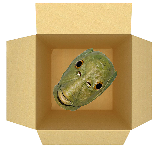 Maskin Box Artifact