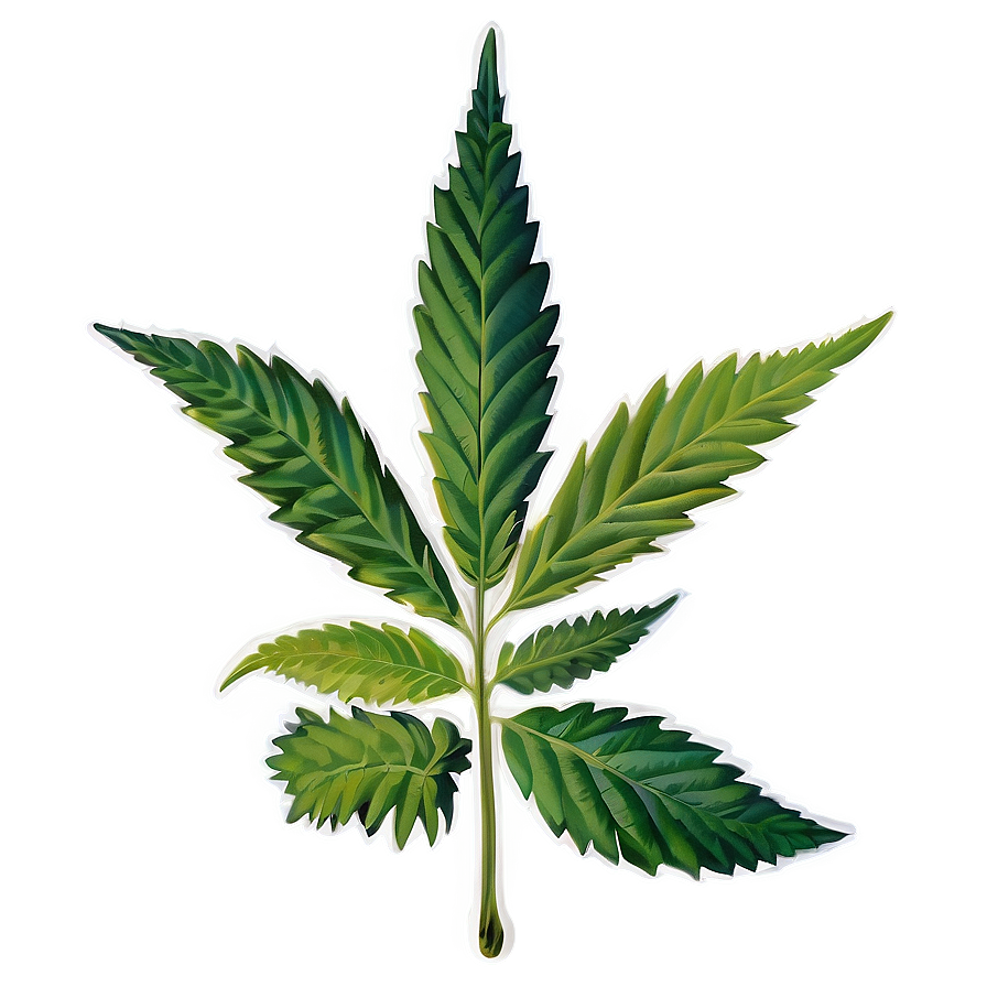 Medicinal Cannabis Png 05032024