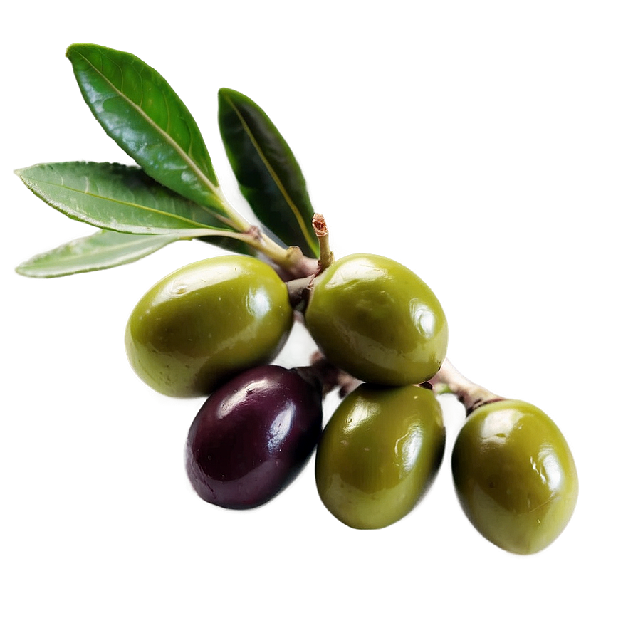 Mediterranean Olive Png Yqe