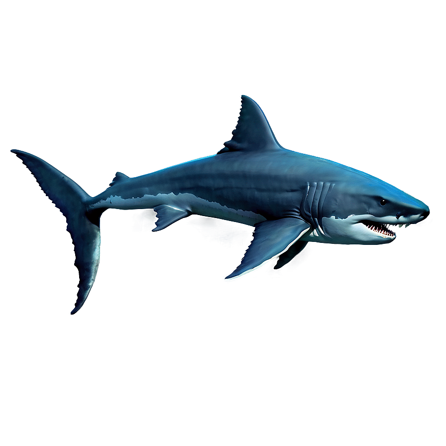 Megalodon In Ocean Background Png 33