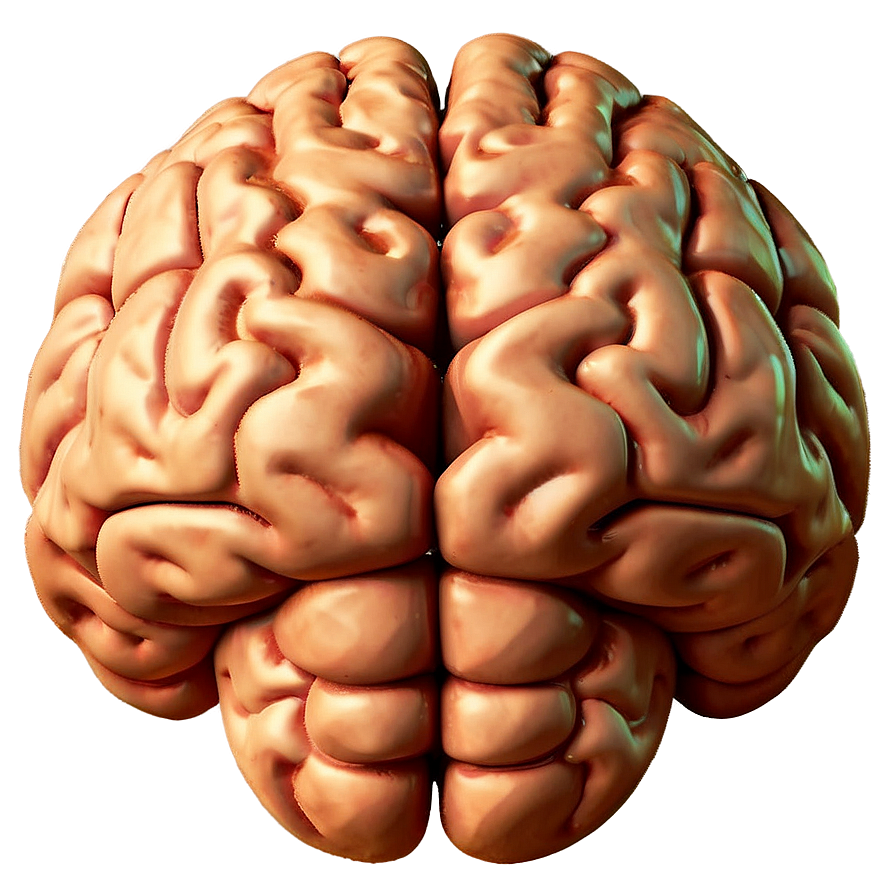 Mental Strength Brain Emoji Png 06132024