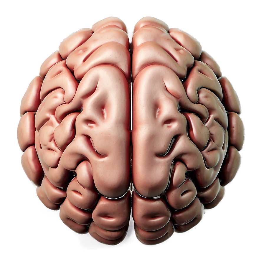 Mental Strength Brain Emoji Png 06132024