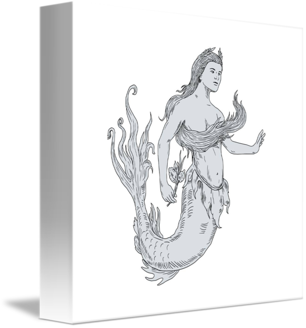 Mermaid Sketch Artwork