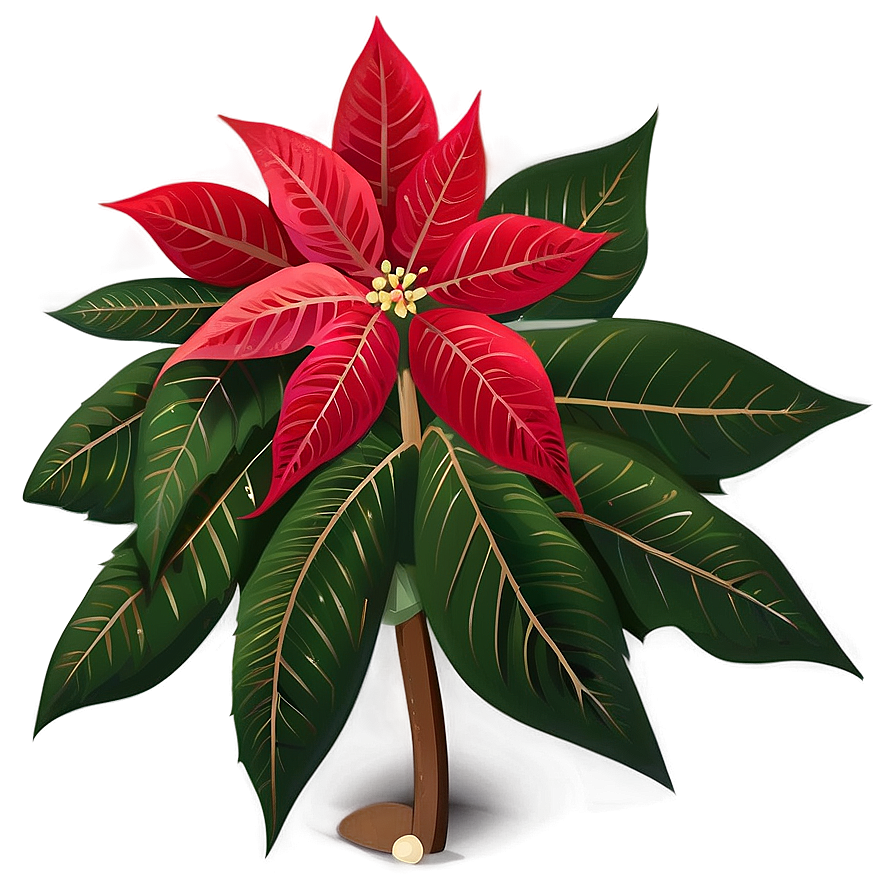 Merry Christmas Poinsettia Png 05032024