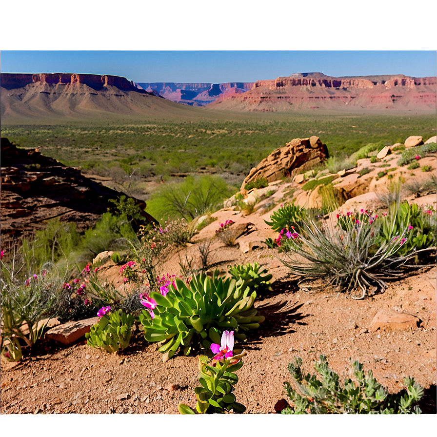 Mesa In Spring Bloom Png Jbx91