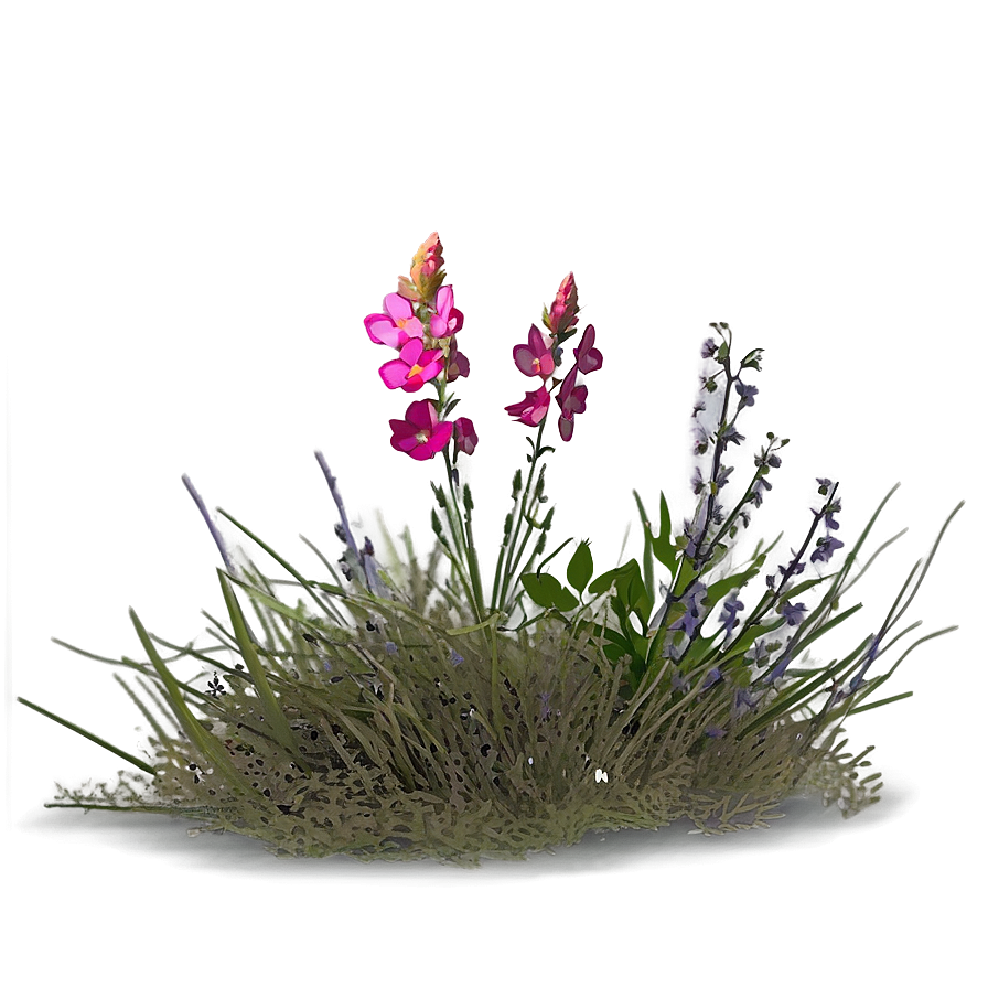 Mesa With Wildflowers Png Vyi34