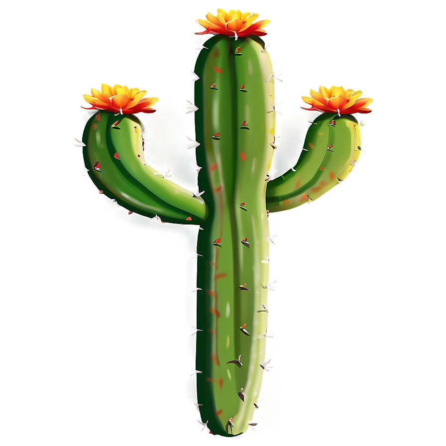 Mexican Cactus Plant Png 05212024
