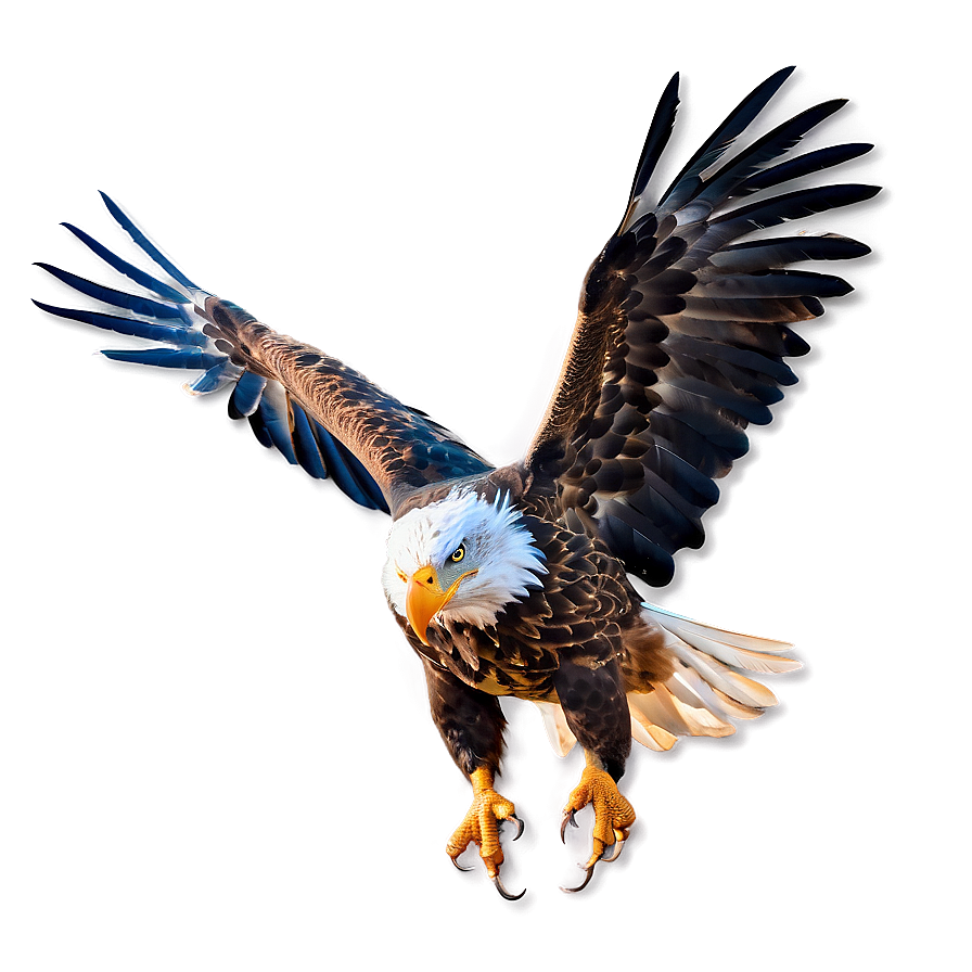 Mexican Eagle In Flight Png Eud88