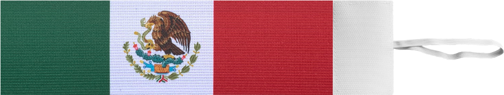 Mexican Flag Closeup Texture