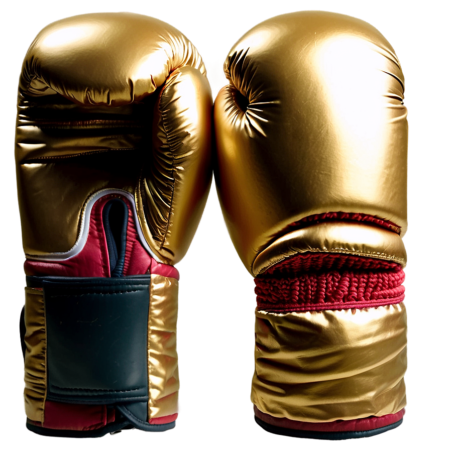 Mexican Style Boxing Gloves Png 05252024