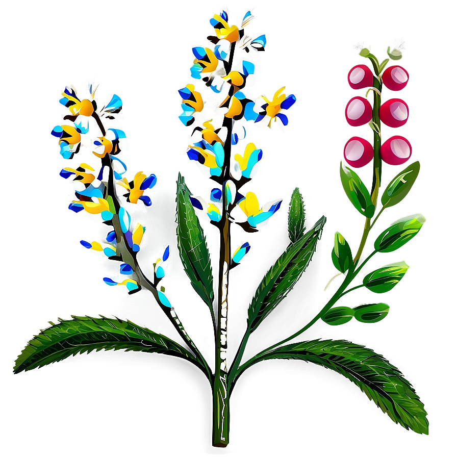 Mexican Wildflowers Png Jcp