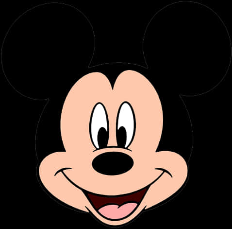Mickey Mouse Iconic Face Graphic