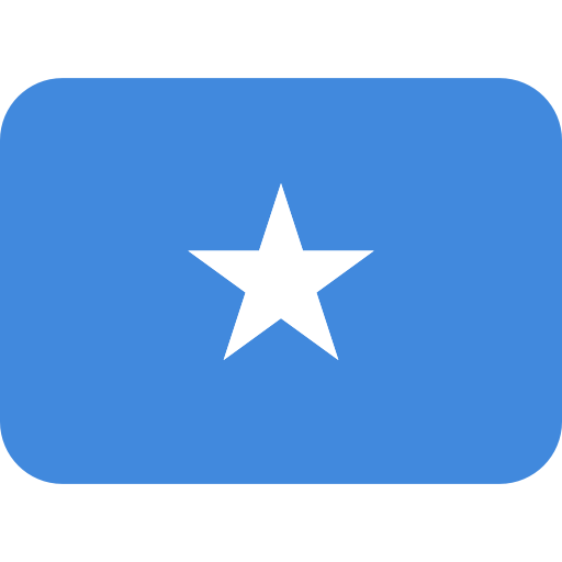 Micronesian_ Flag_ Simple_ Design