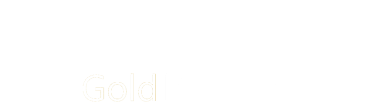 Microsoft Gold Partner Logo