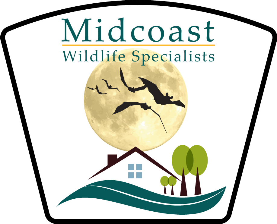 Midcoast Wildlife Specialists Logo