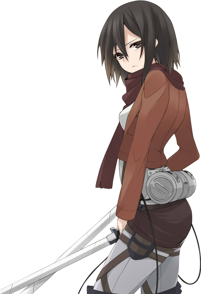 Mikasa Ackerman Readyfor Battle