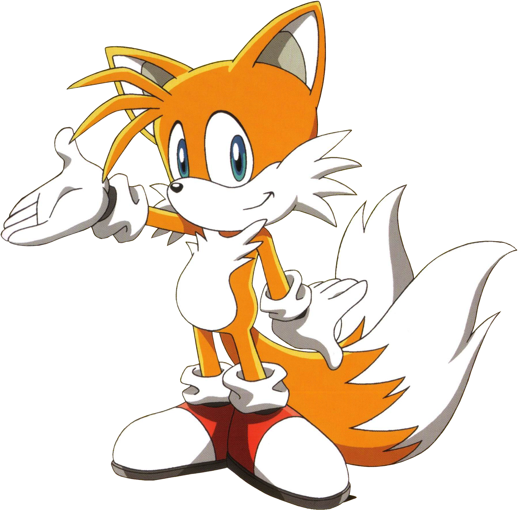 Miles Tails Prower Sonic Series Character