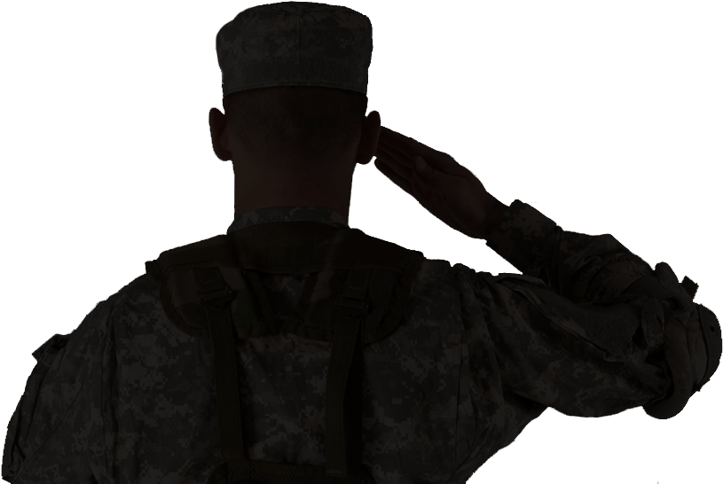 Military Salute Silhouette