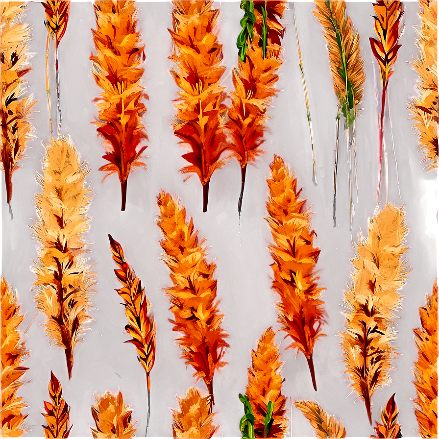 Mini Pampas Bunches Png Rqs88