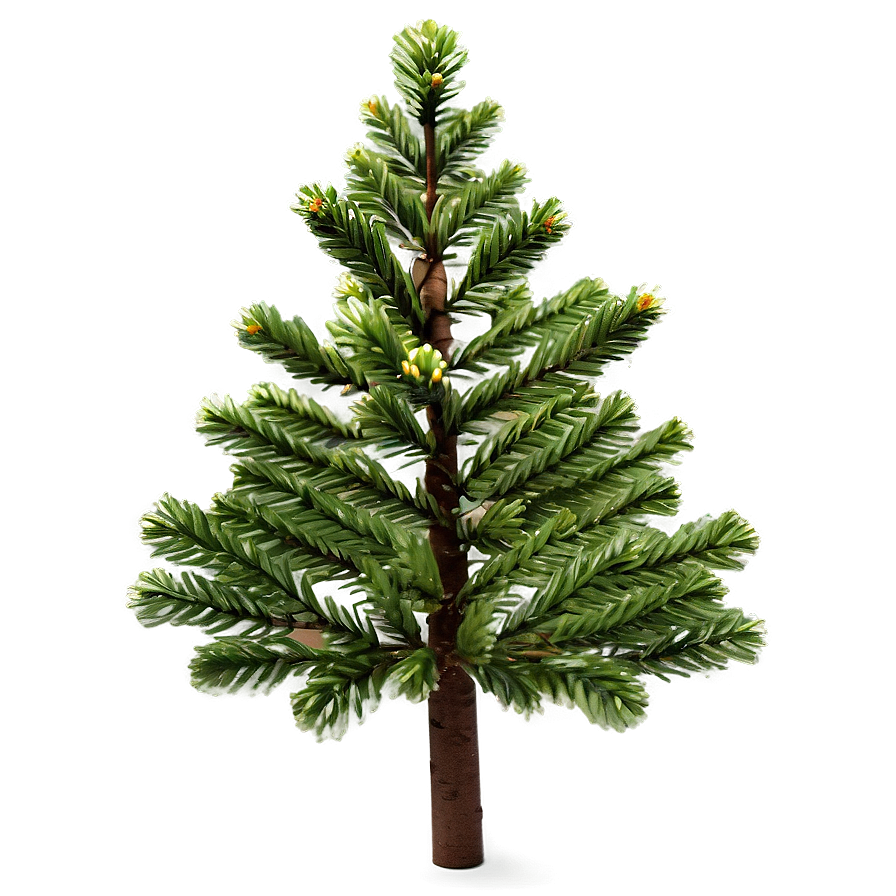 Miniature Pine Tree Png Ier38