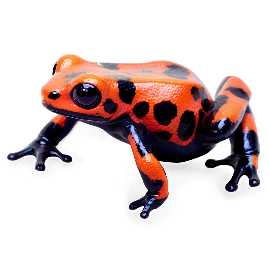 Miniature Poison Dart Frog Png Qru89