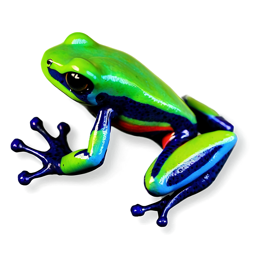 Miniature Poison Dart Frog Png Tpf