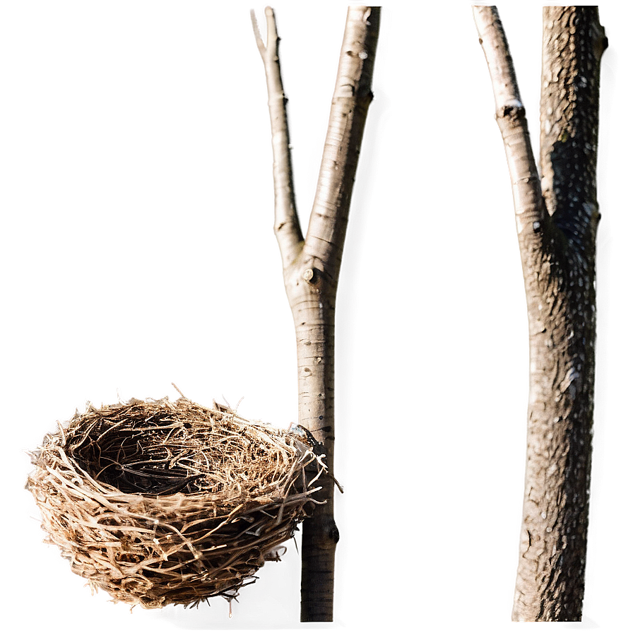 Minimalist Bird Nest Png 66