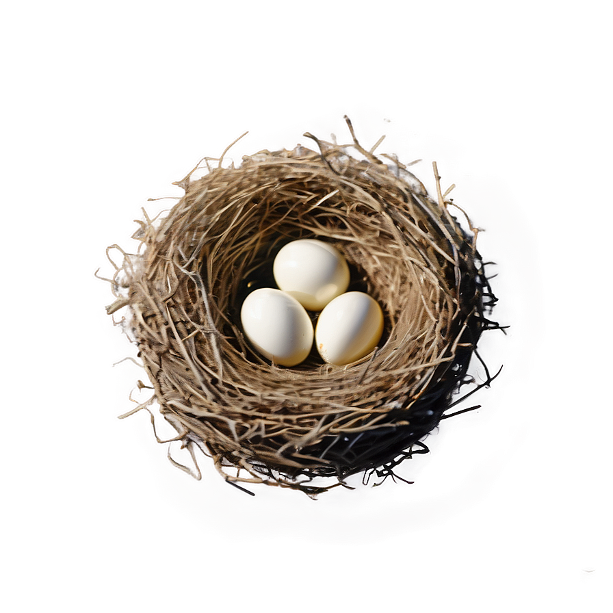 Minimalist Bird Nest Png 70