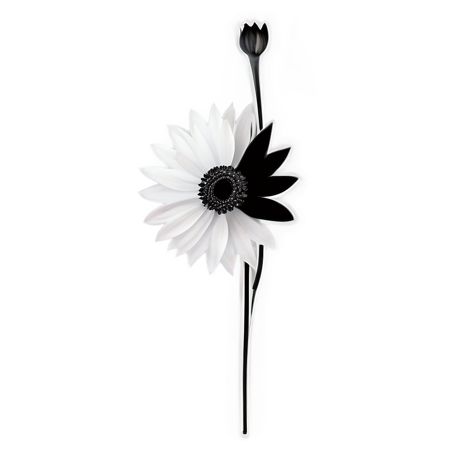 Minimalist Black And White Flower Png 05252024