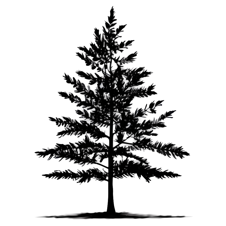 Minimalist Black Tree Png 06212024